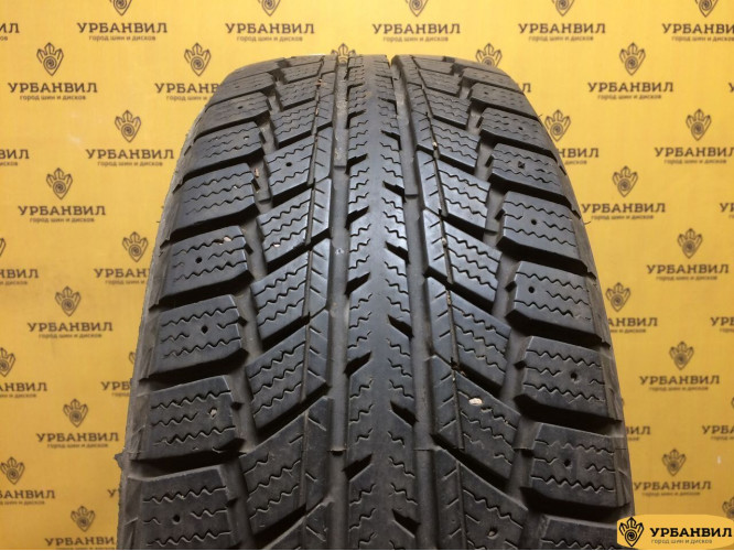 Autogrip Ecowinter 205/55 R16 91T